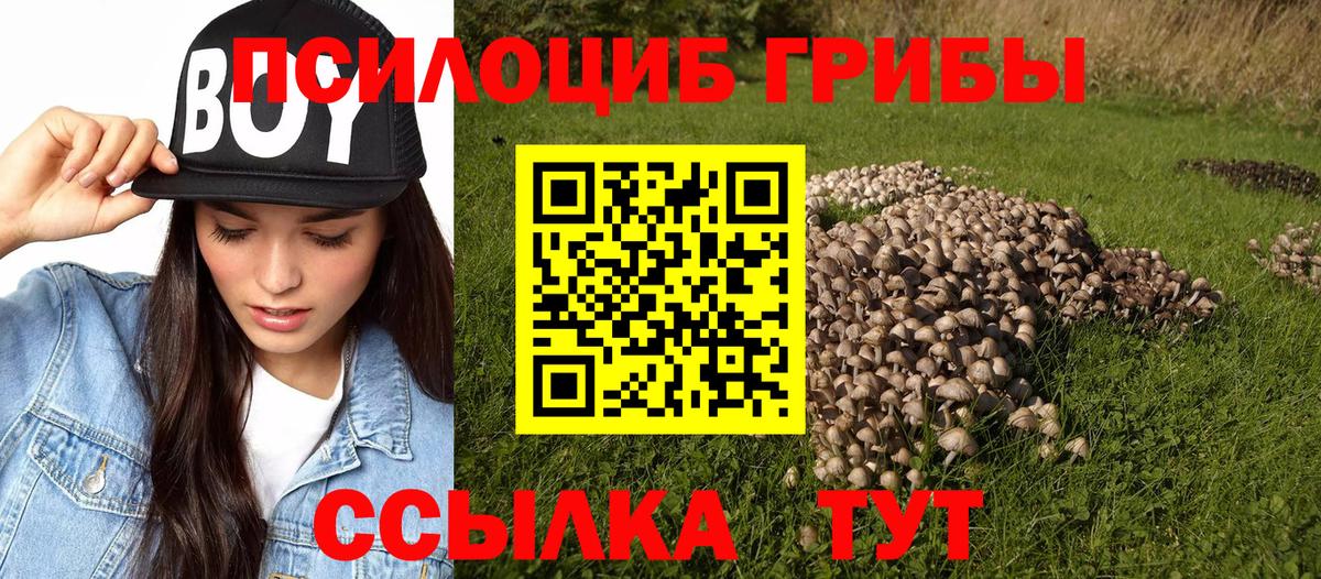 Псилоцибиновые грибы мицелий  Галлюциногенные грибы Magic Shrooms  Вход с VPN  Горно-Алтайск 