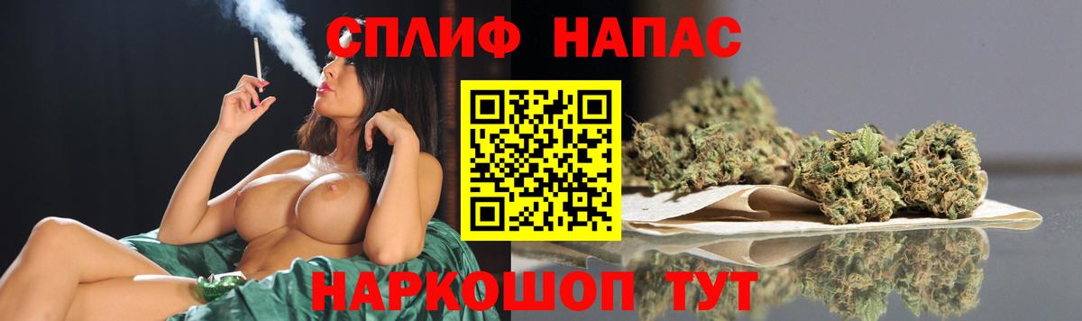 Бошки Шишки MAZAR Горно-Алтайск